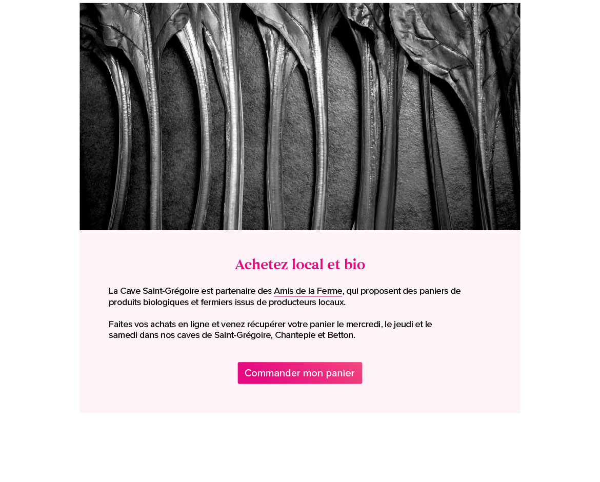 Site Internet One Page